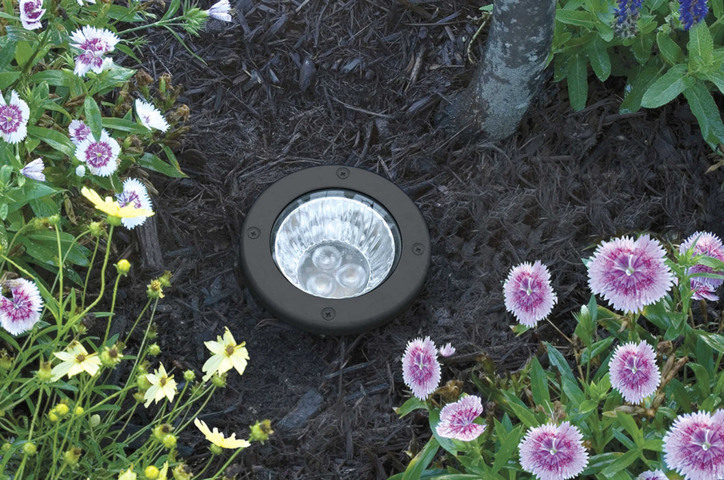 Progress Lighting P5295-31 LED Well Light, Black