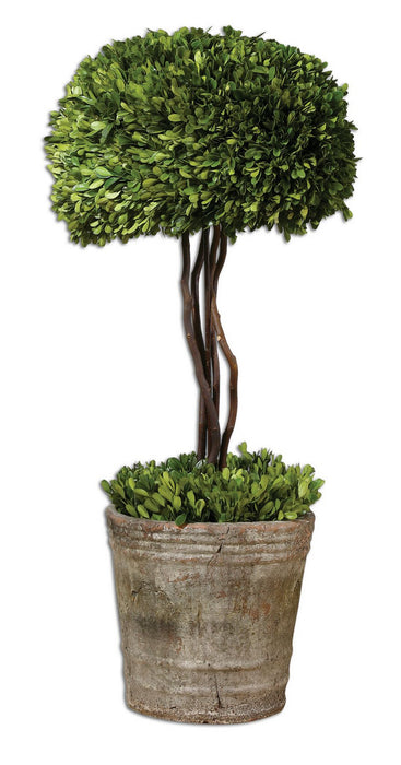 Uttermost 60095 Preserved Boxwood, Mossy Stone