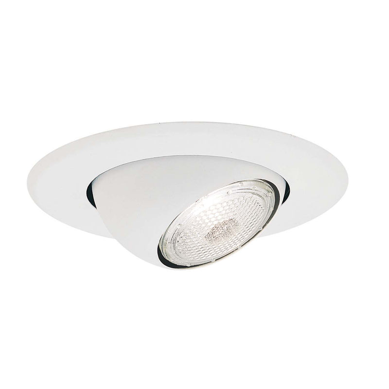 Nora Lighting NS-18 4" Adjustable Eyeball W/ Metal Trim, White