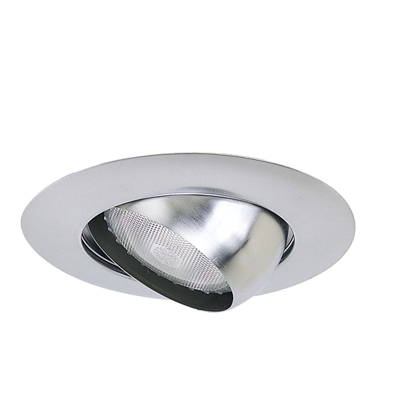 Nora Lighting NT-28N 6" Br/Par30 Eyeball W/ Metal Trim, Natural Metal