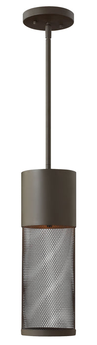 Hinkley 2302KZ LED Hanging Lantern, Buckeye Bronze