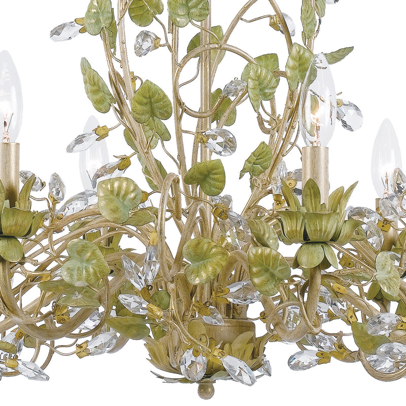 Crystorama 4846-CT Six Light Chandelier, Champagne Green Tea