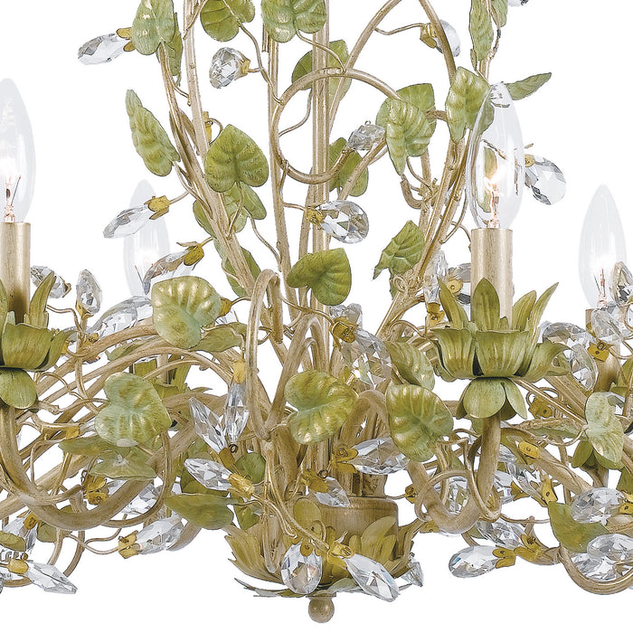 Crystorama 4846-CT Six Light Chandelier, Champagne Green Tea