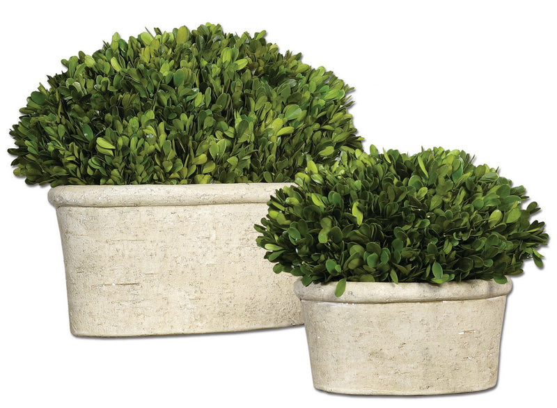 Uttermost 60107 Preserved Boxwood Set/2, Stone