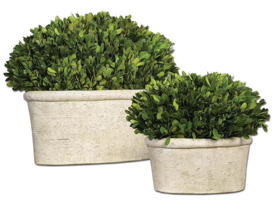 Uttermost 60107 Preserved Boxwood Set/2, Stone