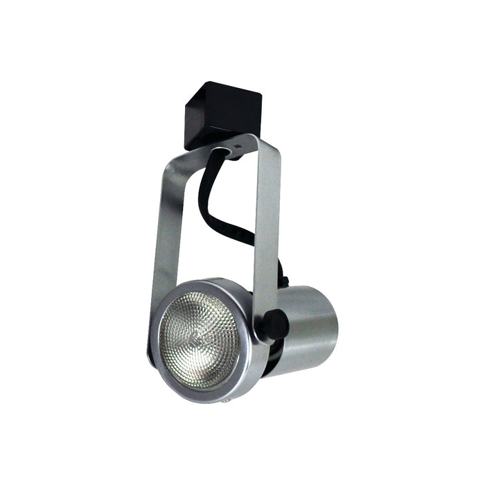 Nora Lighting NTH-112N Gimbal Par20 Natural, Natural Metal