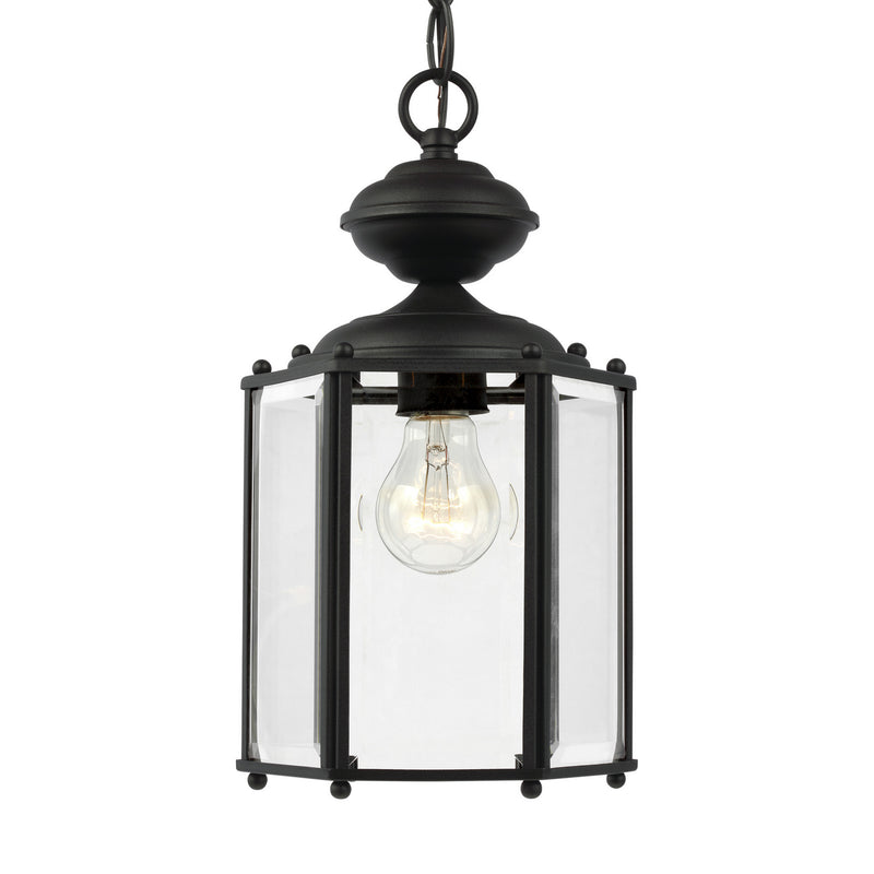 Generation Lighting 6008-12 One Light Outdoor Semi-Flush Convertible Pendant, Black