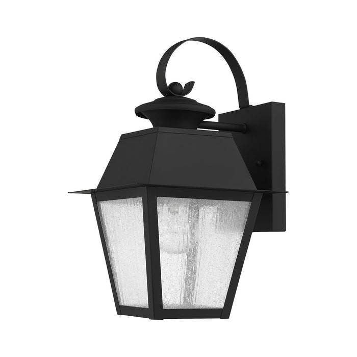 Livex Lighting 2162-04 One Light Outdoor Wall Lantern, Black