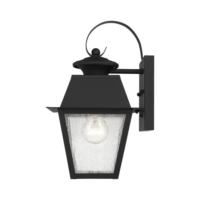 Livex Lighting 2162-04 One Light Outdoor Wall Lantern, Black