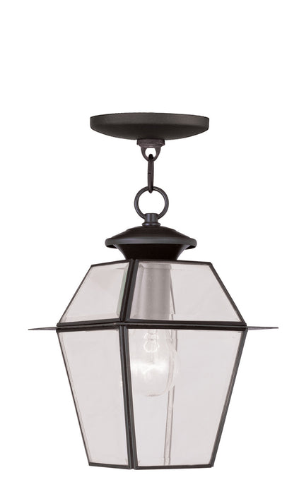 Livex Lighting 2183-07 One Light Outdoor Pendant, Bronze