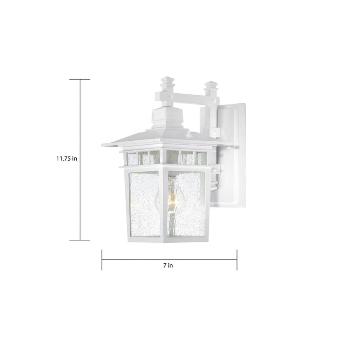 Nuvo Lighting 60-4951 One Light Wall Lantern, White