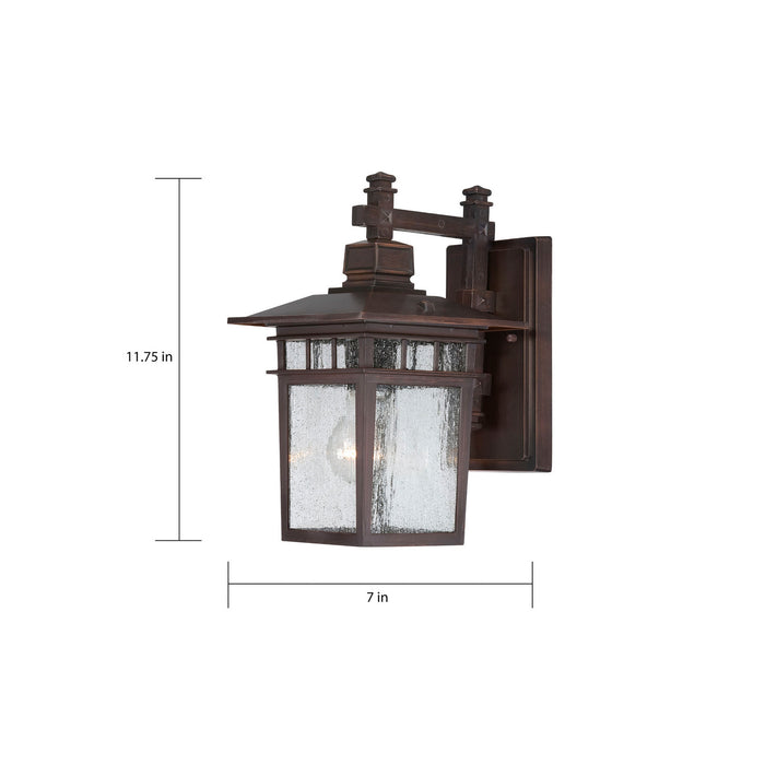 Nuvo Lighting 60-4952 One Light Wall Lantern, Rustic Bronze