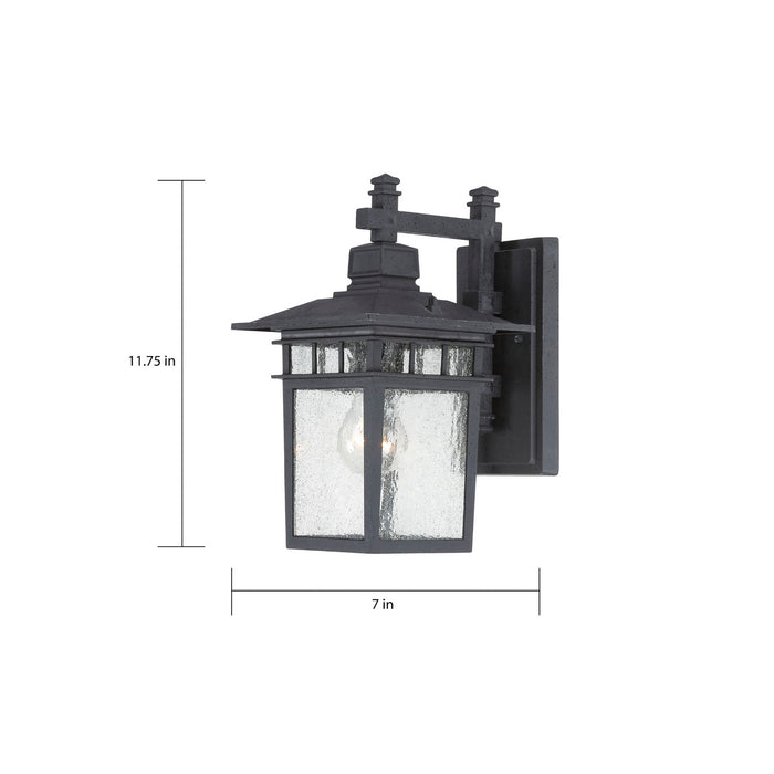 Nuvo Lighting 60-4953 One Light Wall Lantern, Textured Black