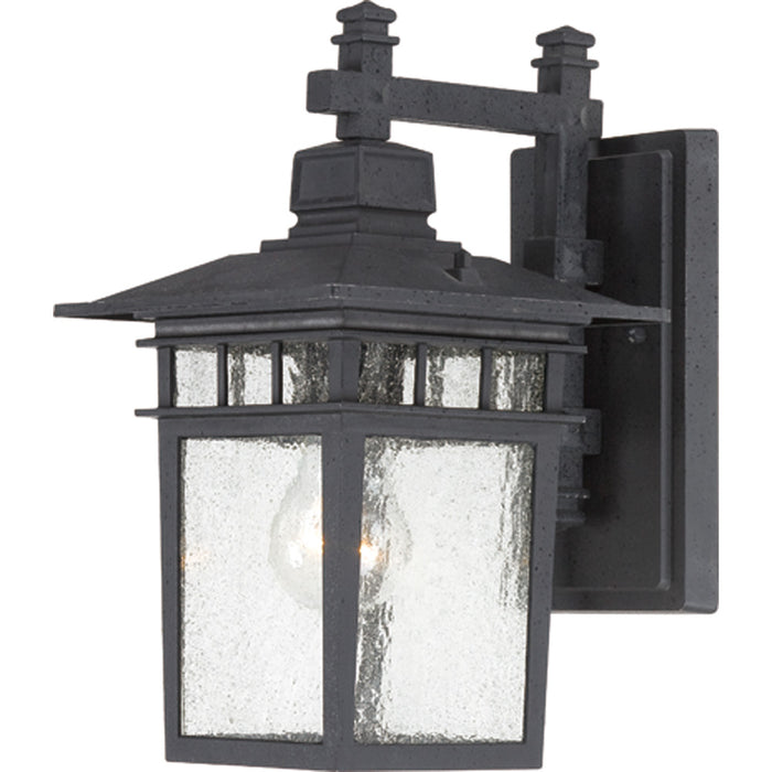 Nuvo Lighting 60-4953 One Light Wall Lantern, Textured Black