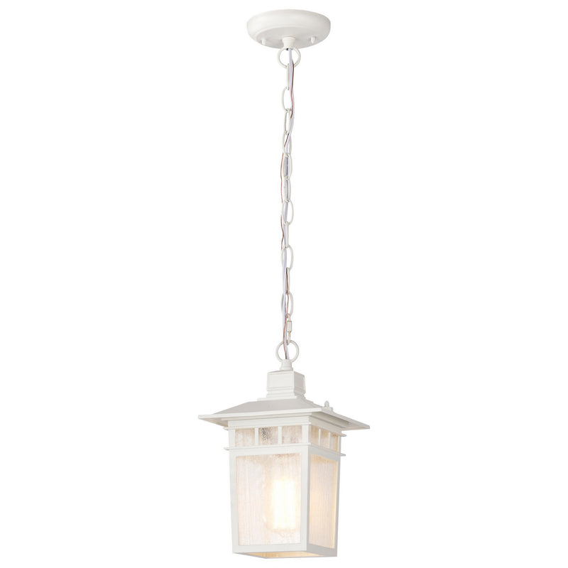 Nuvo Lighting 60-4954 One Light Hanging Lantern, White