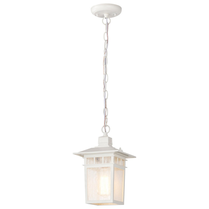 Nuvo Lighting 60-4954 One Light Hanging Lantern, White
