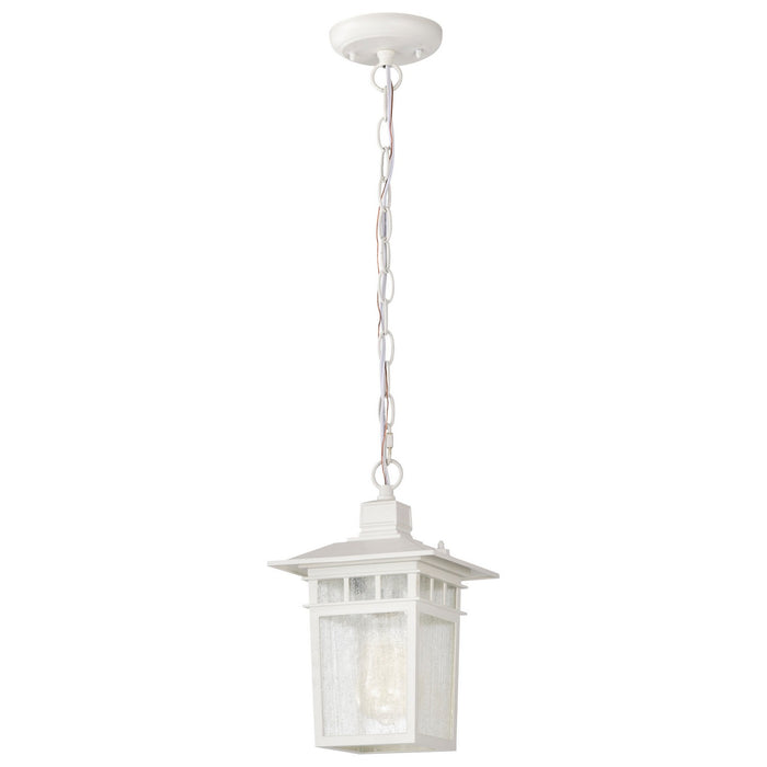 Nuvo Lighting 60-4954 One Light Hanging Lantern, White