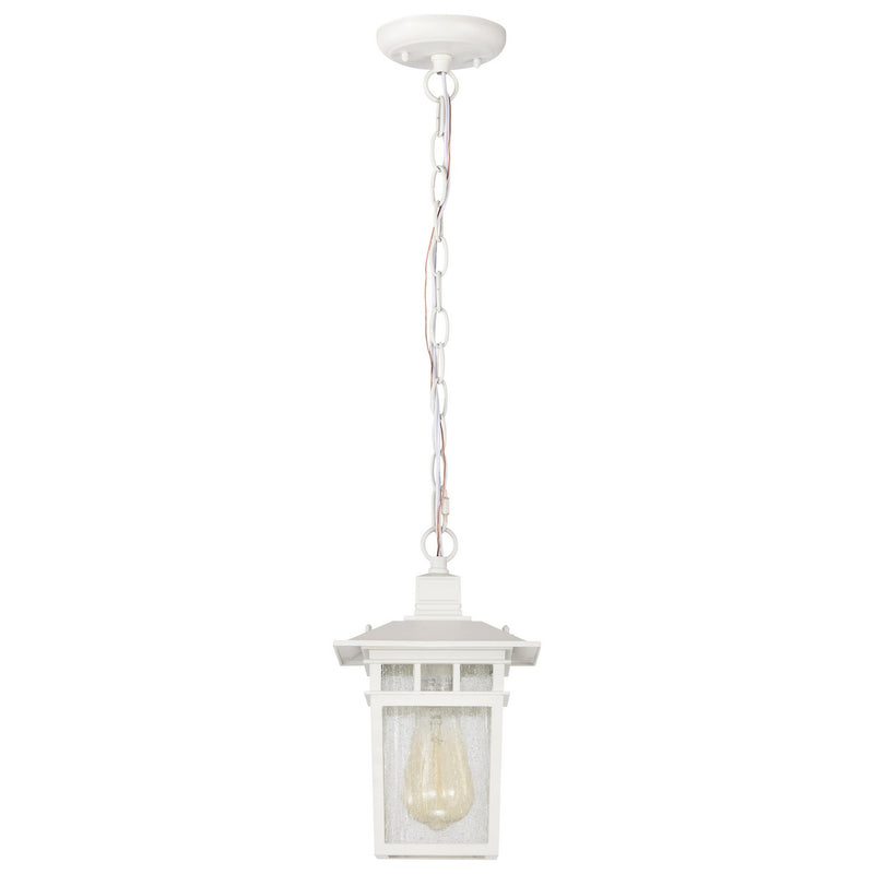 Nuvo Lighting 60-4954 One Light Hanging Lantern, White