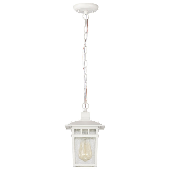 Nuvo Lighting 60-4954 One Light Hanging Lantern, White