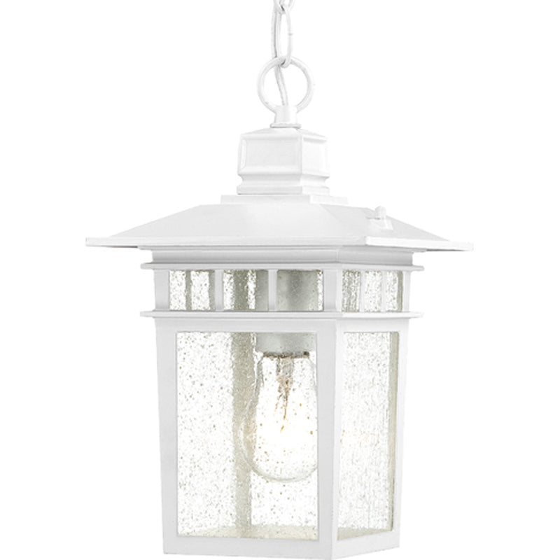 Nuvo Lighting 60-4954 One Light Hanging Lantern, White