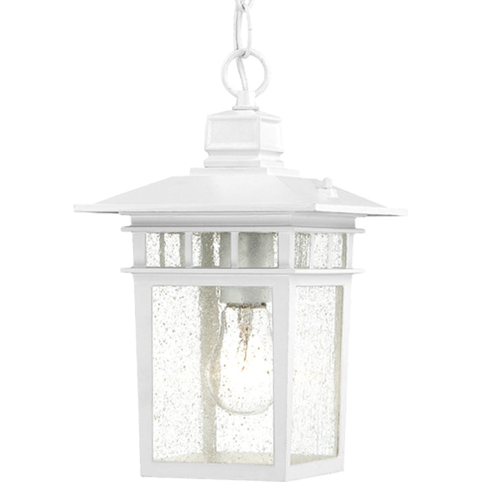 Nuvo Lighting 60-4954 One Light Hanging Lantern, White