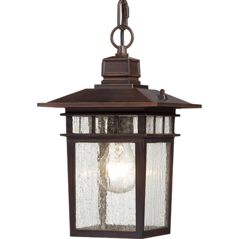 Nuvo Lighting 60-4955 One Light Hanging Lantern, Rustic Bronze