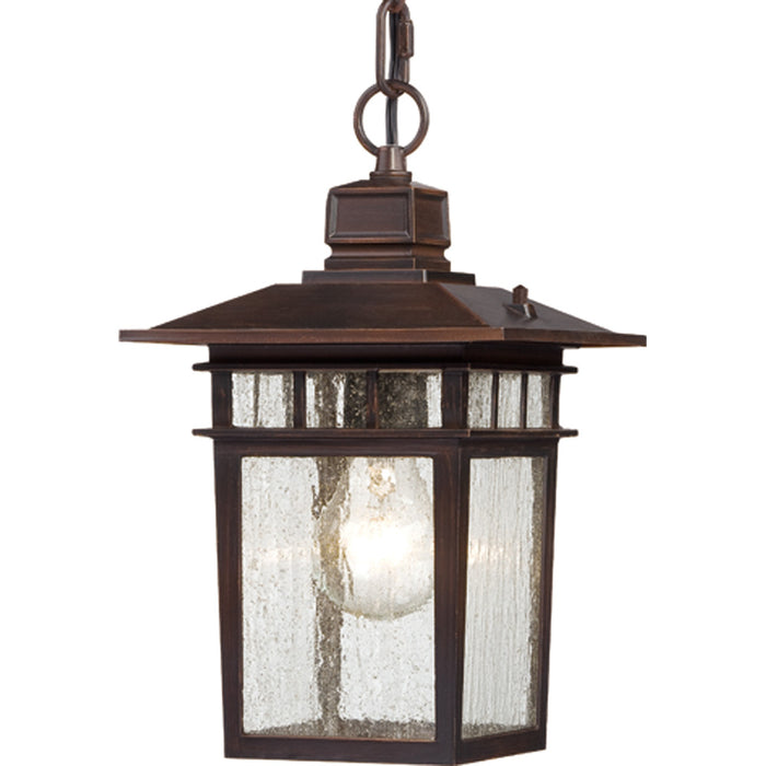 Nuvo Lighting 60-4955 One Light Hanging Lantern, Rustic Bronze