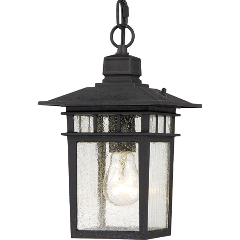 Nuvo Lighting 60-4956 One Light Hanging Lantern, Textured Black