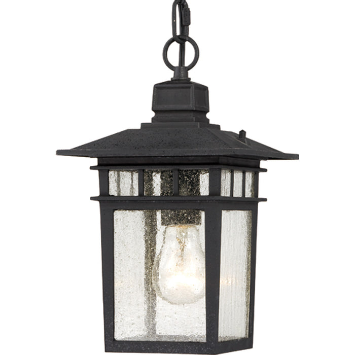 Nuvo Lighting 60-4956 One Light Hanging Lantern, Textured Black