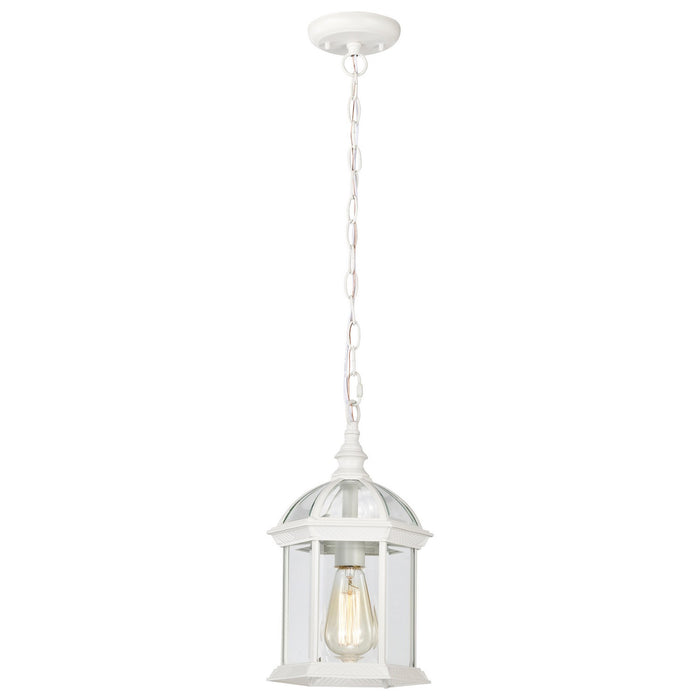 Nuvo Lighting 60-4977 One Light Hanging Lantern, White