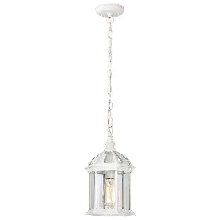 Nuvo Lighting 60-4977 One Light Hanging Lantern, White