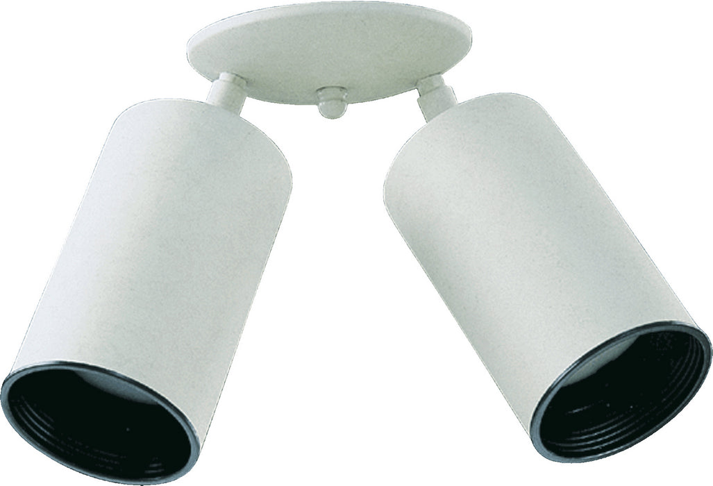 Quorum 3128-2-6 Two Light Ceiling Mount, White