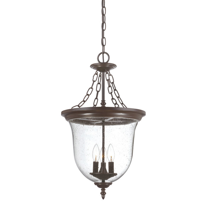 Acclaim Lighting 9316ABZ Three Light Hanging Lantern, Architectural Bronze