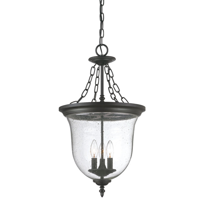 Acclaim Lighting 9316BK Three Light Hanging Lantern, Matte Black