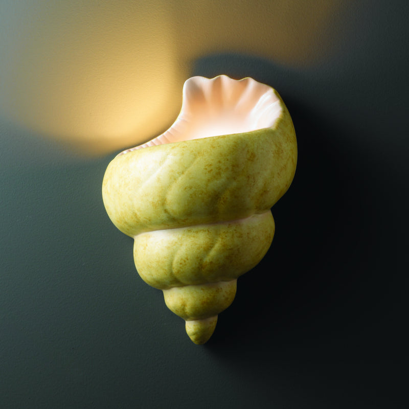 Justice Designs CER-3700-SEAK Wall Sconce, Conch Shell