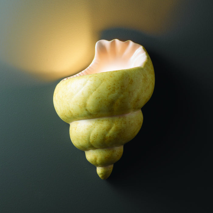 Justice Designs CER-3700-SEAK Wall Sconce, Conch Shell