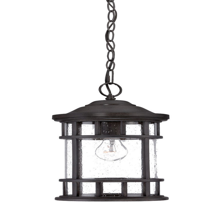 Acclaim Lighting 31946BC One Light Hanging Lantern, Black Coral