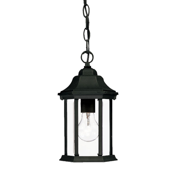Acclaim Lighting 5185BK One Light Hanging Lantern, Matte Black