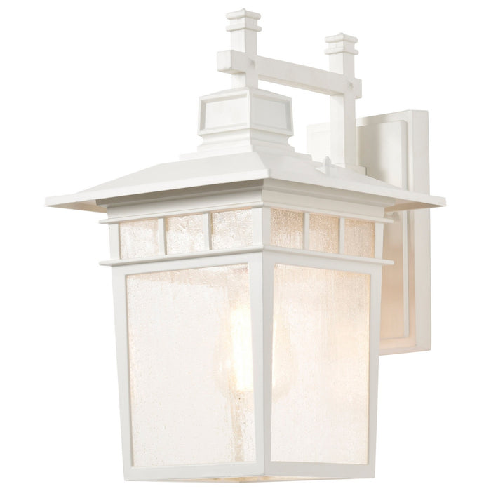 Nuvo Lighting 60-4957 One Light Wall Lantern, White / Clear Seeded