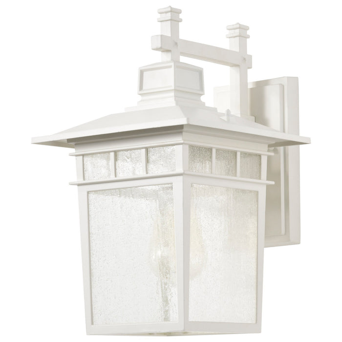 Nuvo Lighting 60-4957 One Light Wall Lantern, White / Clear Seeded