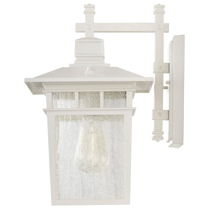 Nuvo Lighting 60-4957 One Light Wall Lantern, White / Clear Seeded