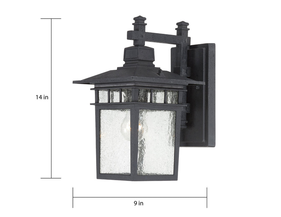Nuvo Lighting 60-4959 One Light Wall Lantern, Textured Black