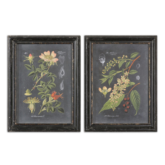 Uttermost 56053 Wall Art, Black