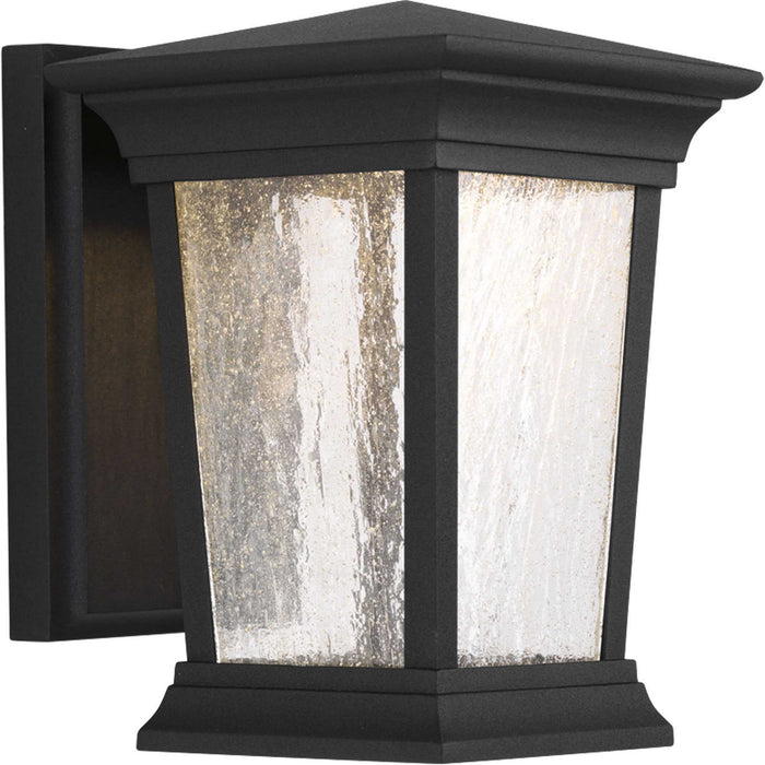 Progress Lighting P6067-3130K9 LED Wall Lantern, Black