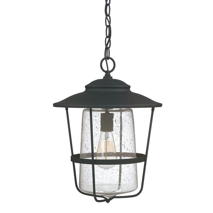 Capital Lighting 9604BK One Light Outdoor Hanging Lantern, Black