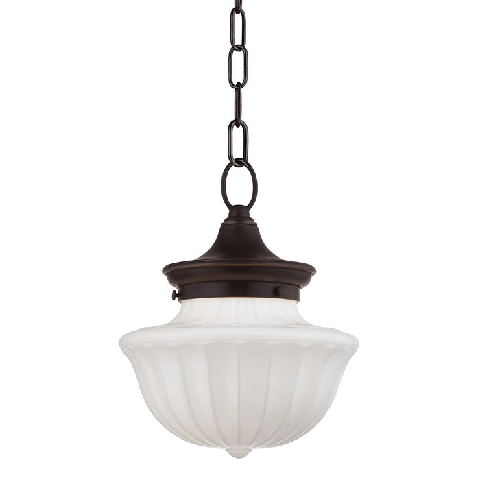 Hudson Valley 5009-OB One Light Pendant, Old Bronze