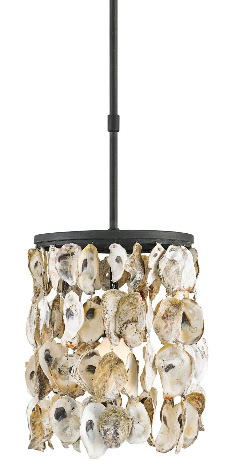 Currey and Company 9250 One Light Pendant, Blacksmith/Natural