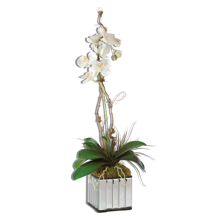 Uttermost 60122 Planter, White