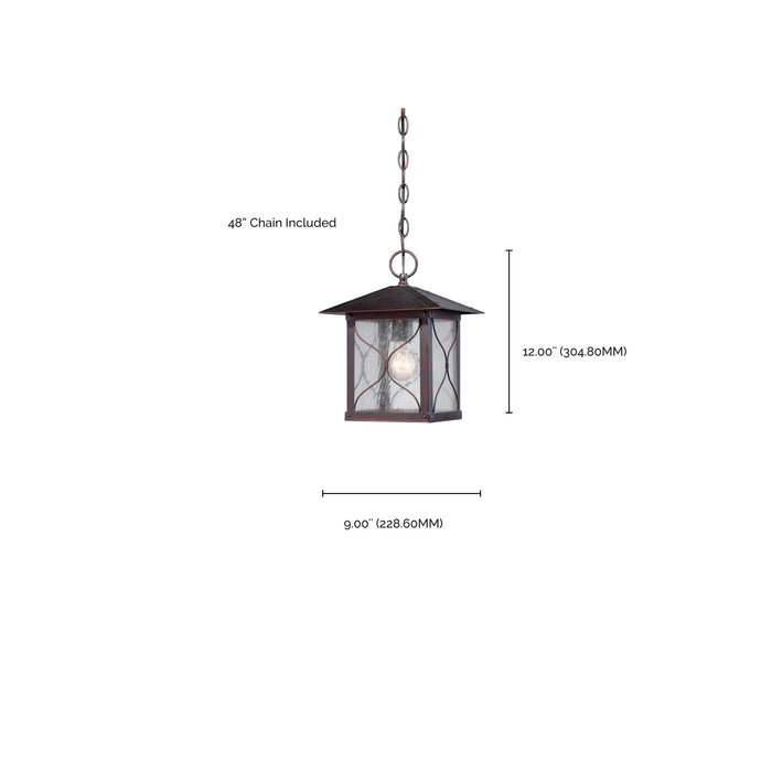 Nuvo Lighting 60-5614 One Light Hanging Lantern, Classic Bronze