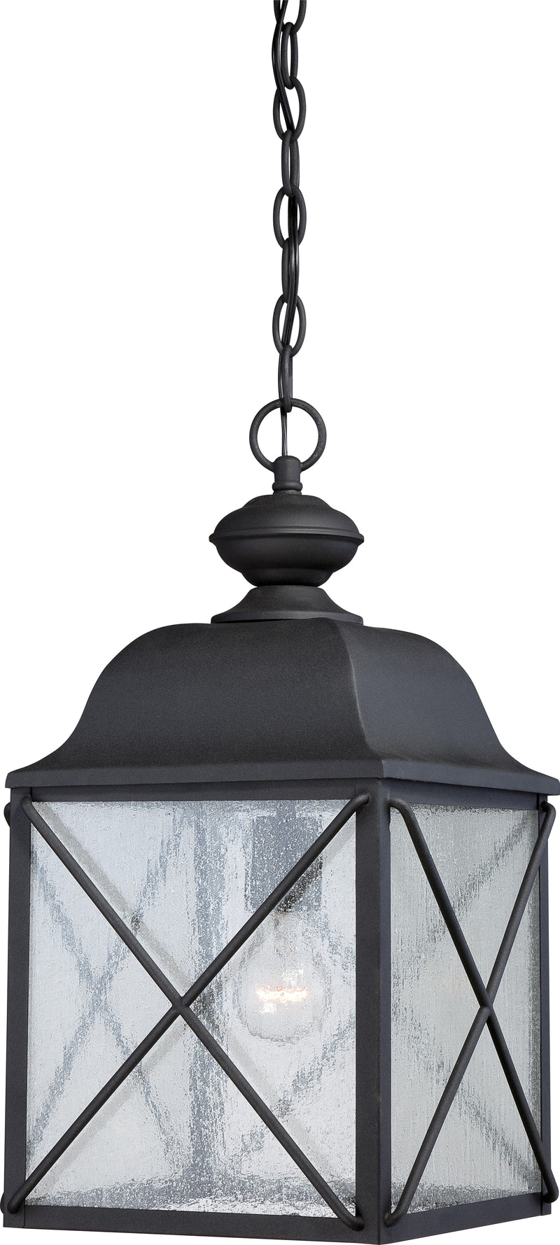 Nuvo Lighting 60-5624 One Light Hanging Lantern, Textured Black